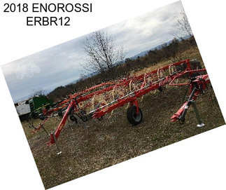 2018 ENOROSSI ERBR12