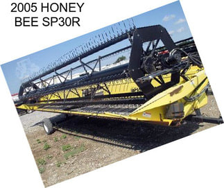 2005 HONEY BEE SP30R