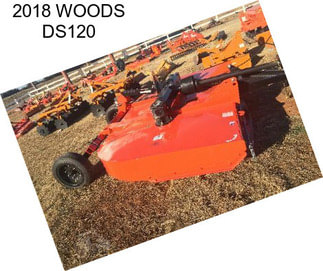 2018 WOODS DS120