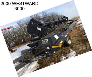 2000 WESTWARD 3000