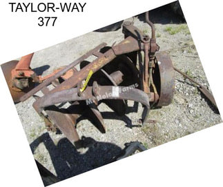 TAYLOR-WAY 377