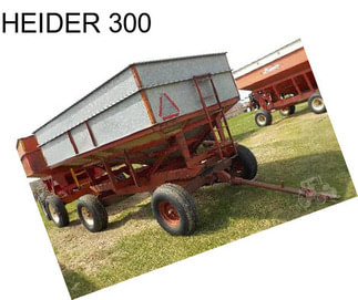 HEIDER 300