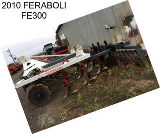 2010 FERABOLI FE300