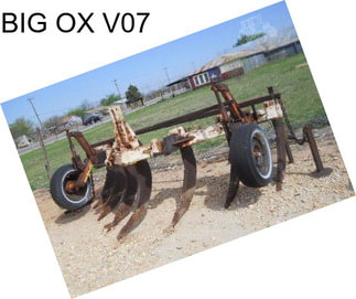 BIG OX V07