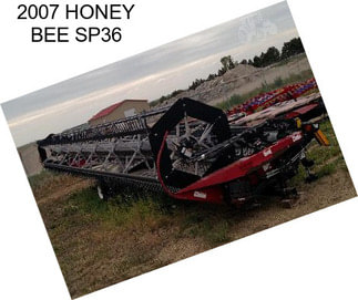 2007 HONEY BEE SP36