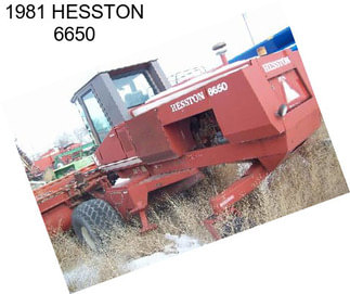 1981 HESSTON 6650