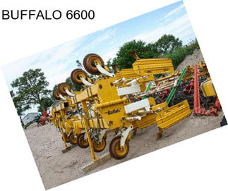 BUFFALO 6600