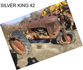 SILVER KING 42