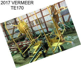 2017 VERMEER TE170