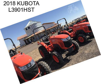 2018 KUBOTA L3901HST