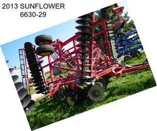 2013 SUNFLOWER 6630-29