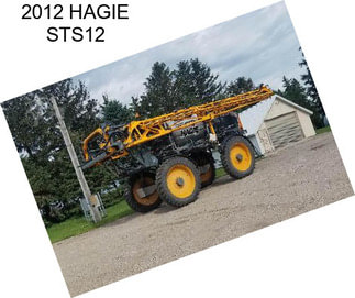 2012 HAGIE STS12