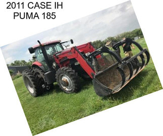 2011 CASE IH PUMA 185