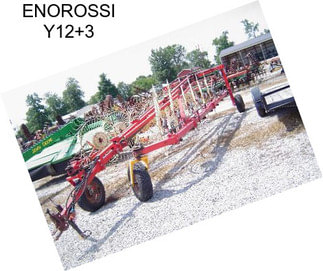 ENOROSSI Y12+3
