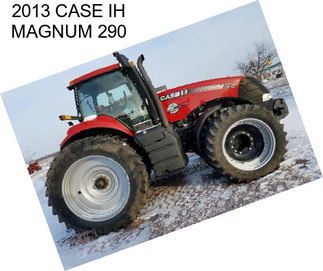 2013 CASE IH MAGNUM 290