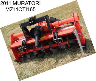 2011 MURATORI MZ11CTI165