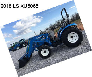 2018 LS XU5065