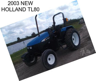 2003 NEW HOLLAND TL80