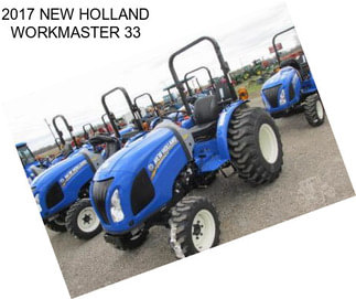 2017 NEW HOLLAND WORKMASTER 33