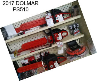 2017 DOLMAR PS510