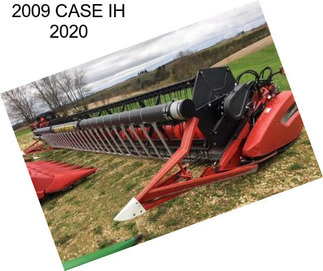 2009 CASE IH 2020