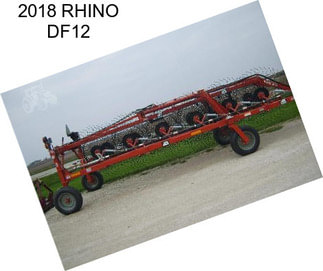 2018 RHINO DF12