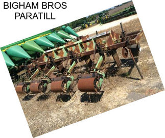 BIGHAM BROS PARATILL