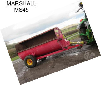 MARSHALL MS45