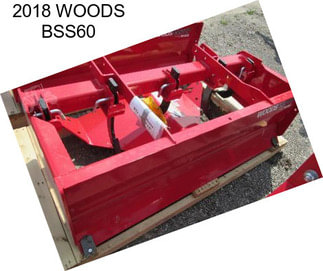 2018 WOODS BSS60