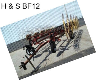 H & S BF12