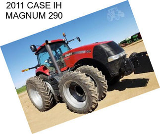 2011 CASE IH MAGNUM 290