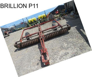 BRILLION P11