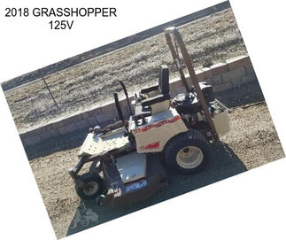 2018 GRASSHOPPER 125V