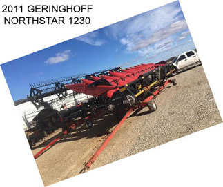 2011 GERINGHOFF NORTHSTAR 1230