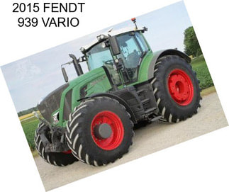 2015 FENDT 939 VARIO