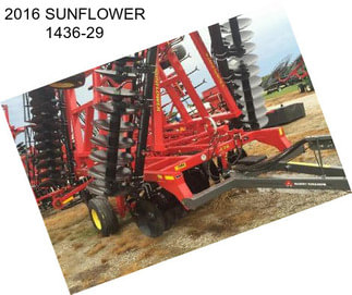 2016 SUNFLOWER 1436-29