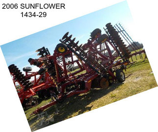 2006 SUNFLOWER 1434-29