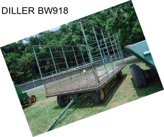 DILLER BW918