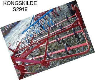 KONGSKILDE S2919