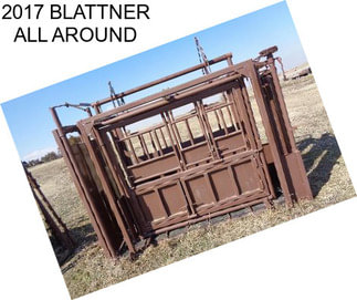 2017 BLATTNER ALL AROUND