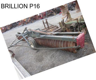 BRILLION P16