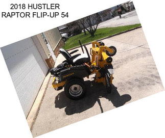 2018 HUSTLER RAPTOR FLIP-UP 54