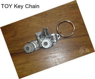TOY Key Chain