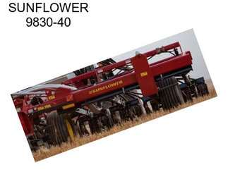 SUNFLOWER 9830-40