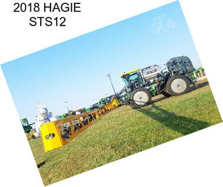 2018 HAGIE STS12