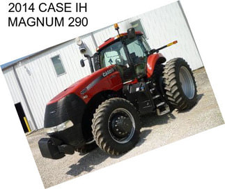 2014 CASE IH MAGNUM 290