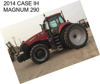 2014 CASE IH MAGNUM 290