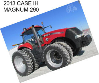 2013 CASE IH MAGNUM 290