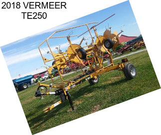 2018 VERMEER TE250