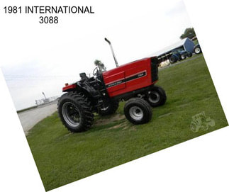 1981 INTERNATIONAL 3088